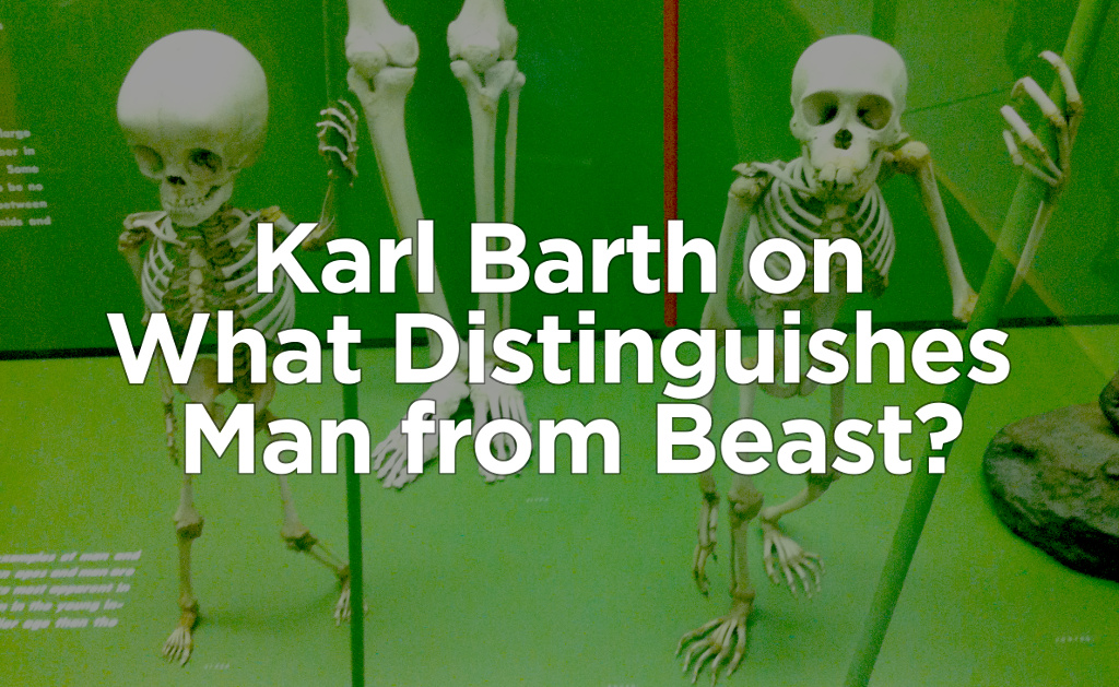 man-beast-barth